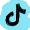 Tiktok Social Icon
