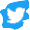 Twitter Social Icon